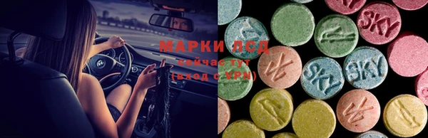 спиды Абинск