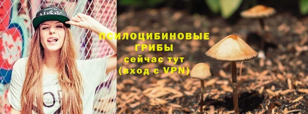спиды Абаза