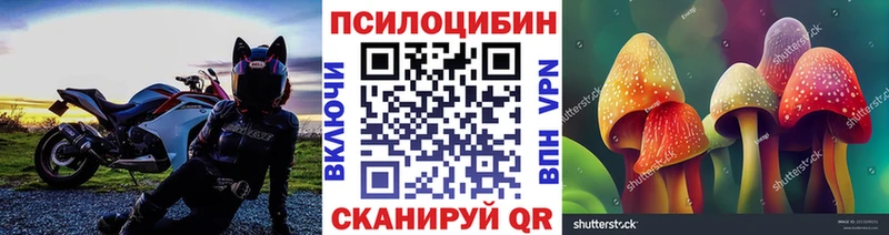 блэк спрут рабочий сайт Североморск Галлюциногенные грибы мухоморы